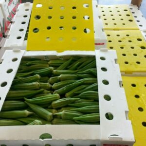 corrugated box plastic for Okra - Image 4