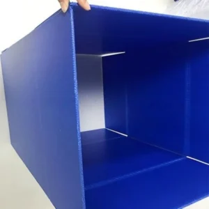 Corrugated Plastic Box with Normal Carton Type - Image 3