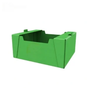 Vegetable Fruit & Seafood PP Box - Image 2