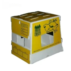 Vegetable Fruit & Seafood PP Box - Image 3